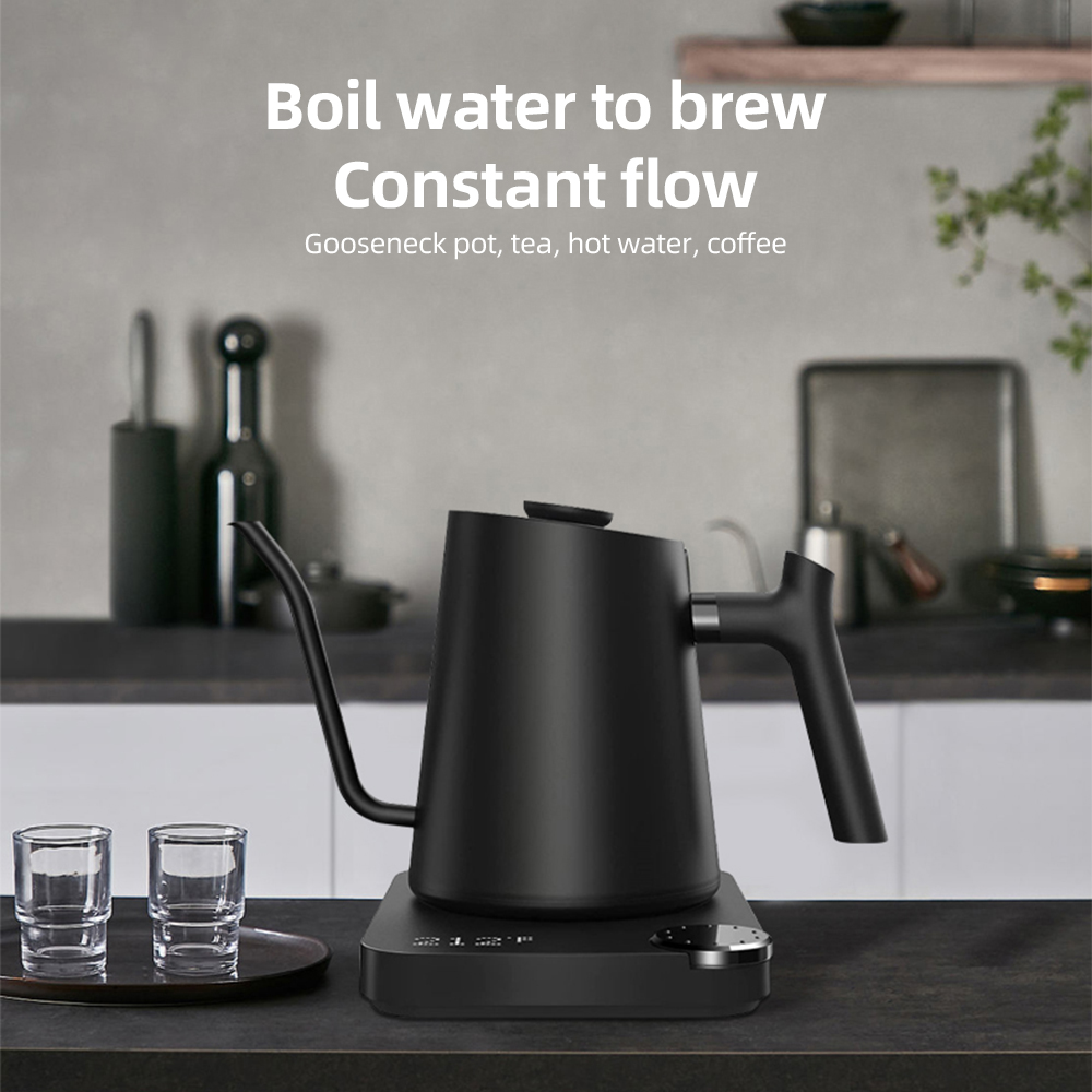 Gooseneck 0.9LTemperature Cont - Electric Kettle Gooseneck review and price