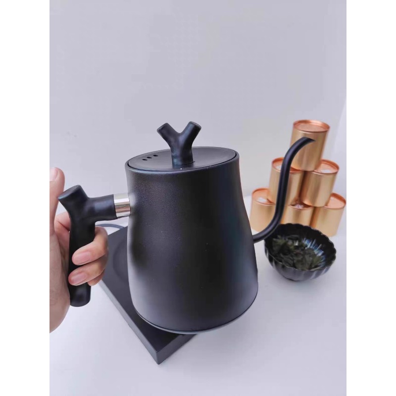 1000W Intelligent Constant Tem - Electric Kettle Gooseneck review and price