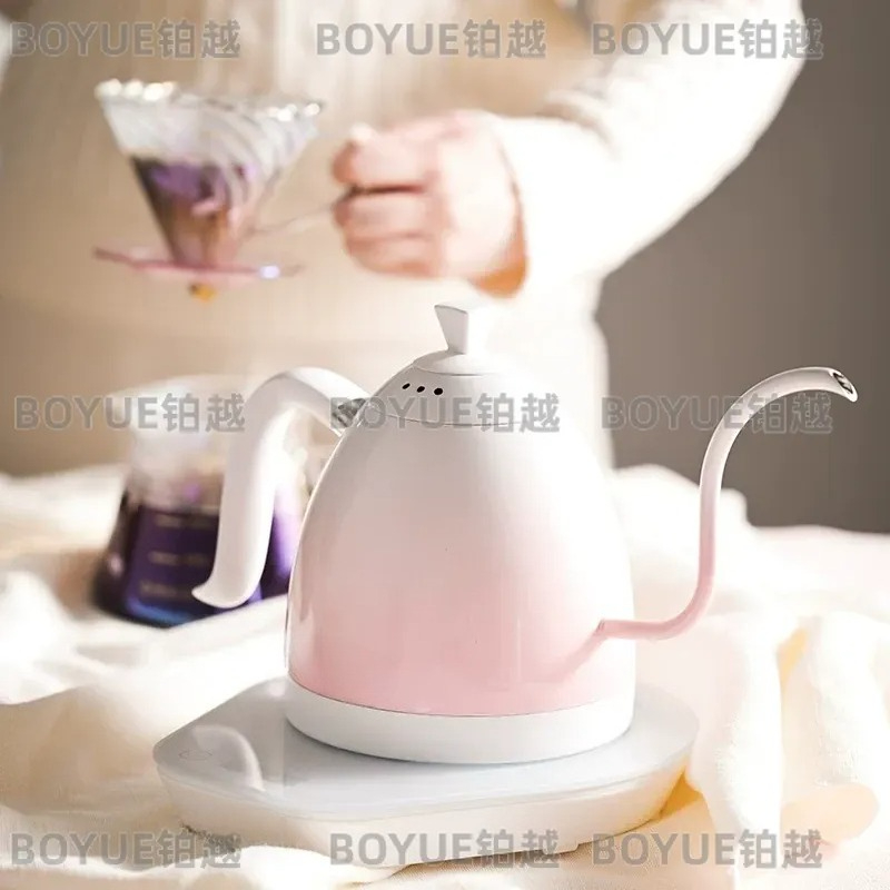 Stainless Steel Gooseneck Kett - Electric Kettle Gooseneck review and price